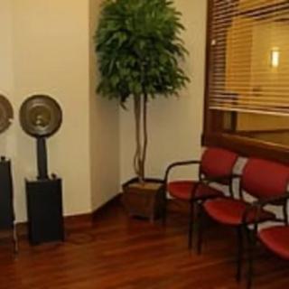A cozy waiting room with red chairs and a potted plant.