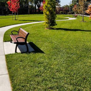 A peaceful park scene with a wooden bench beside a winding pathway and green grass.