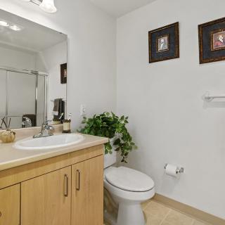 A clean and neatly organized bathroom with a potted plant and decorative wall art.
