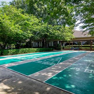 An outdoor shuffleboard court surrounded by lush trees and greenery.