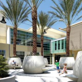 A modern courtyard with large planters and palm trees, offering outdoor seating on a sunny day.