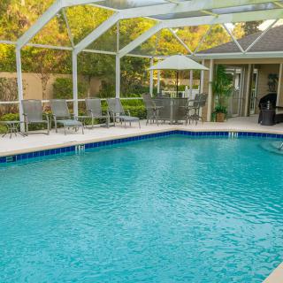 A backyard swimming pool enclosed with a screen, surrounded by lounge chairs and greenery.
