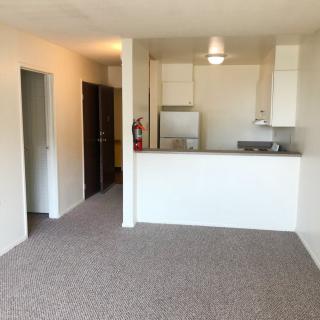 A view of an open-concept apartment with a carpeted living area and a compact kitchen.