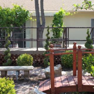 A serene garden with a small wooden bridge and lush greenery.
