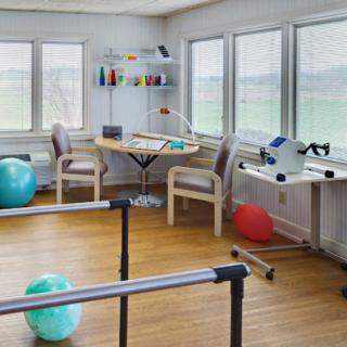 A physical therapy room equipped with exercise balls and parallel bars for rehabilitation exercises.