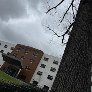 A view of a modern building partially obscured by a tree on a cloudy day.