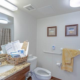 A well-lit bathroom with a sink, toilet, and decorative elements.