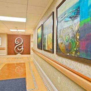 A hospital corridor lined with colorful artwork and a decorative wall feature.