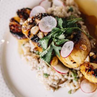 A beautifully plated dish featuring grilled vegetables topped with fresh herbs and radish slices.
