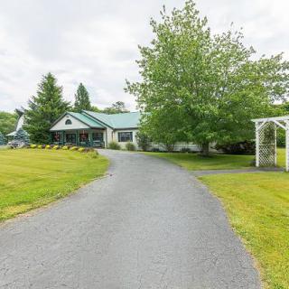 A scenic driveway leading to a house surrounded by lush greenery and trees.