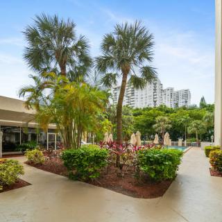 A sunny garden area with palm trees and a walkway surrounded by lush greenery, with buildings in the background.