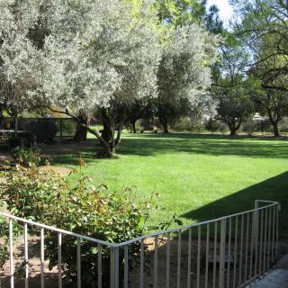A serene garden with lush green grass and trees, enclosed by a fence.