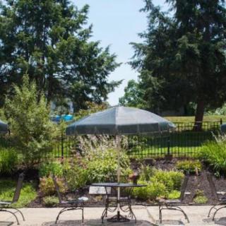 A peaceful garden patio with chairs and a table under an umbrella, surrounded by lush greenery and trees.