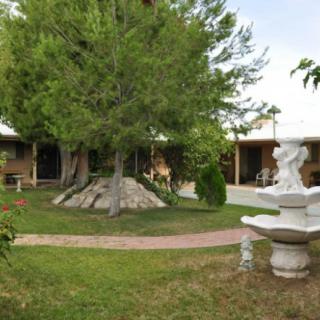 A serene garden setting with a large tree, a paved pathway, and an ornate fountain.
