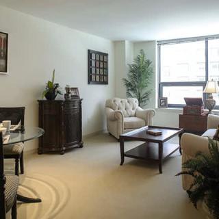 A cozy living room with comfortable seating, a coffee table, and decorative plants.