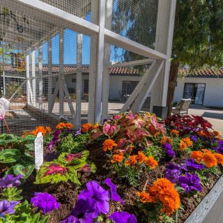 A vibrant garden with colorful flowers in an outdoor setting, complemented by modern architectural elements.