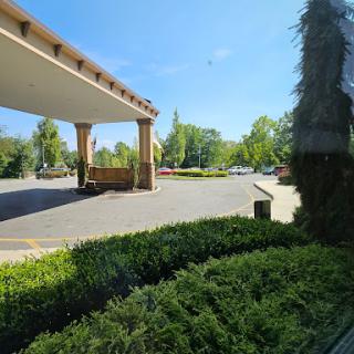 A view of a sunny outdoor area featuring greenery and architectural elements, with a parking lot in the foreground.