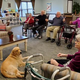 A group of seniors enjoying a pet therapy session with a dog in a nursing home.