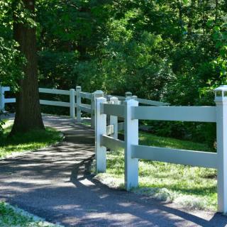 A serene pathway lined with a white fence and surrounded by lush green trees.