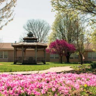A serene garden scene with a gazebo, vibrant flowers, and blooming trees.