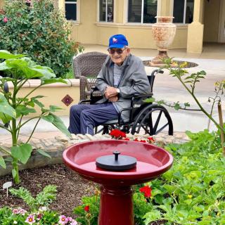 An elderly person in a wheelchair enjoys the garden scenery near a red fountain.