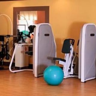 A gym with various exercise machines and a fitness ball.