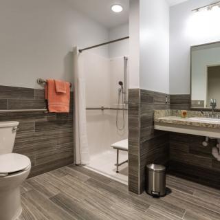 A modern bathroom featuring a walk-in shower, toilet, and a vanity with a large mirror.