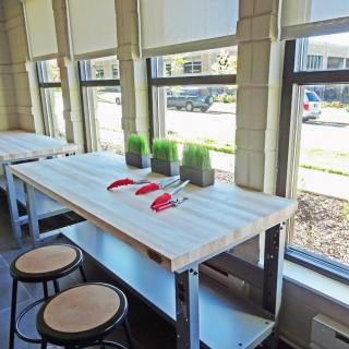 A bright cafe interior with a table, stools, and decorative plants by the windows.