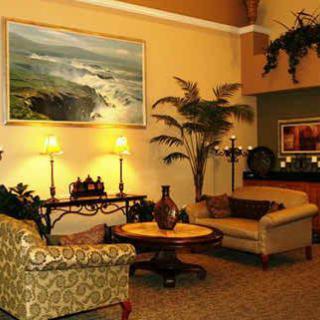 A warm and inviting living room with cozy lighting, elegant furniture, and decorative plants.
