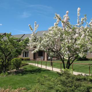 A house with a lush garden and blooming trees under a clear blue sky.