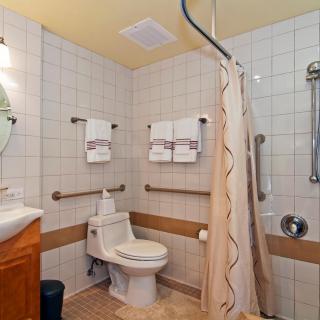 An accessible bathroom with a toilet, shower, and grab bars.