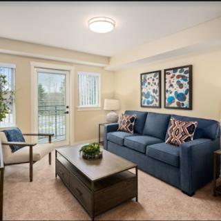 A cozy living room featuring a blue sofa, modern coffee table, and colorful artwork.