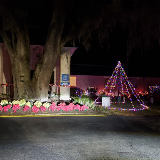 A beautifully lit holiday display featuring a decorated tree and vibrant flowers at night.