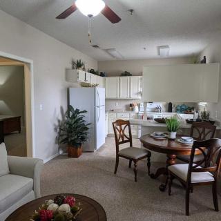 A cozy apartment kitchen and dining area with a round table, chairs, and decorative plants.