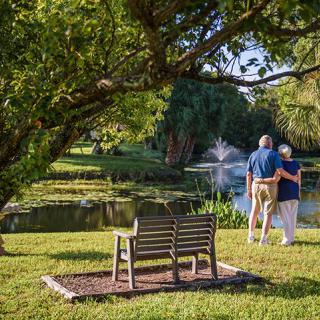 An elderly couple enjoys a peaceful moment by the lake, standing near a bench under a tree in a park.