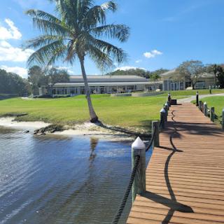 A serene view featuring a wooden dock leading to a picturesque house, surrounded by lush greenery and a palm tree under a clear blue sky.