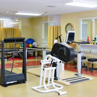 A well-equipped rehabilitation center featuring various exercise machines and fitness tools.