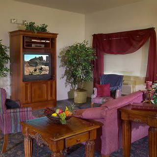 A cozy living room featuring a television, sofa, and indoor plants.