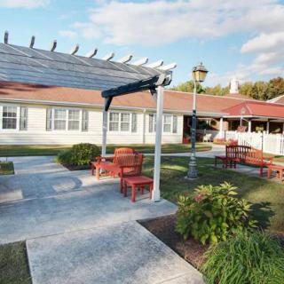 A tranquil outdoor seating area with a pergola and benches surrounded by greenery and a building in the background.
