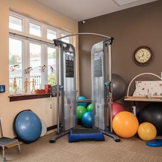 A fitness room equipped with a cable machine and various exercise balls for physical therapy.