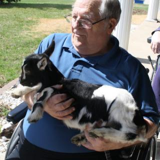 A man in a wheelchair happily holds a black and white goat in an outdoor setting.