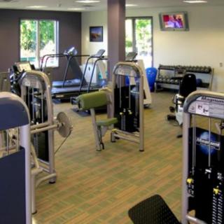 A clean and well-equipped gym with various exercise machines and treadmills.