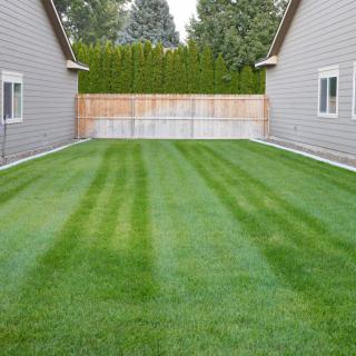 A neatly manicured backyard lawn between two houses.