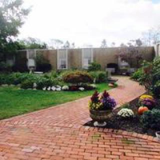 A beautifully landscaped garden with a brick path and vibrant flowers.