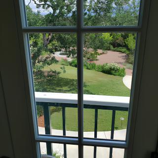 A view of a garden and trees through a window with a balcony railing.