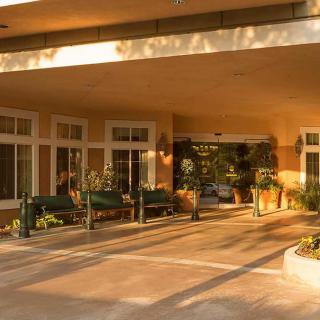 A sunny entrance to a building adorned with plants and benches.