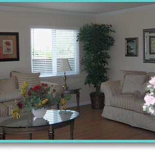 A cozy living room with sofas, a coffee table, and decorative plants.