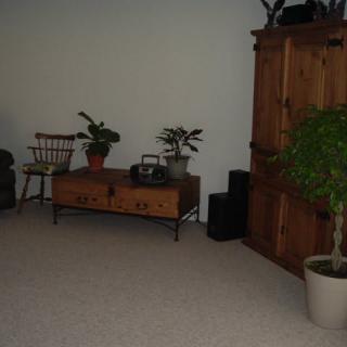 A cozy living room with wooden furniture and indoor plants.