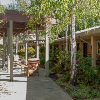 A peaceful garden pathway with trees and outdoor seating.