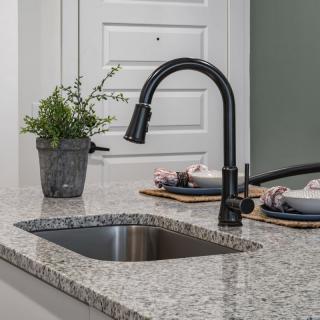 A modern kitchen with a sleek black faucet over a granite countertop, featuring an indoor plant and neatly set dishes.